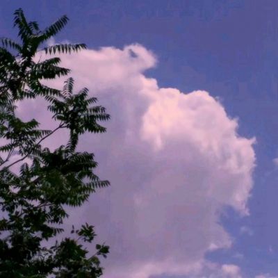幻想的游戏官方版